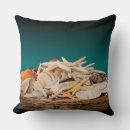 Pesquisar por imagens do seashell Qualquer pessoa