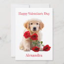 Pesquisar por feliz do golden retriever cartoes Animal