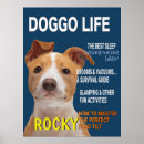 Pesquisar por pitbull raças pôsteres Cães