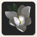 Pesquisar por plants porta copos Nature