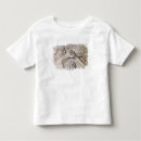 Pesquisar por visigoth camisetas Romano