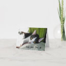Pesquisar por tuxedo cat cartoes Fofofo
