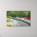 Pesquisar por uvas impressão de canvas Natureza