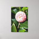 Pesquisar por bloom impressão de canvas Flora