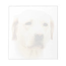 Pesquisar por labrador retriever bloco de notas Cachorro