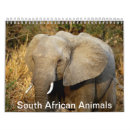 Pesquisar por animais africanos Natureza