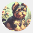 Pesquisar por do yorkshire terrier adesivos Cão