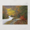 Pesquisar por fora da estrada cartoes postais Rocha