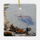 Pesquisar por piscinas ornamentos Natureza