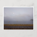 Pesquisar por camino de santiago cartoes postais Caminhada