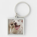 Pesquisar por bull terrier chaveiros Parte do corpo animal