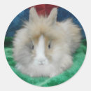 Pesquisar por rabbit adesivos Animal