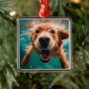 Pesquisar por raça ornamentos Para amante de cachorro
