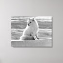 Pesquisar por ártico impressão de canvas Alaska