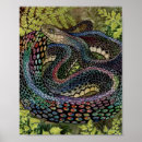 Pesquisar por estudos pôsteres Floresta