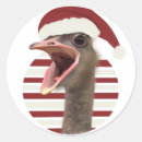 Pesquisar por avestruzes adesivos Qualquer pessoa