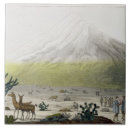Pesquisar por humboldt azulejos Belas artes