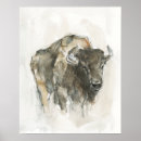 Pesquisar por oeste americano pôsteres Bison