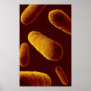 Pesquisar por bioquímica pôsteres Imagem gerada digitalmente