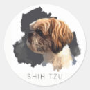 Pesquisar por shih tzu adesivos Autocolante
