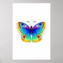 Pesquisar por borboleta pôsteres Mariposa