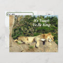 Pesquisar por gatos grandes cartoes postais Foto