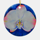 Pesquisar por orquídeas brancas ornamentos Tropicais