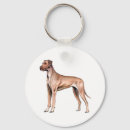 Pesquisar por great chaveiros Filhote de cachorro
