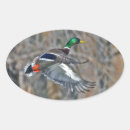 Pesquisar por drake adesivos Patos