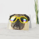 Pesquisar por funny pug cartoes Dog