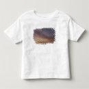 Pesquisar por nuvem céu camisetas Horizontal