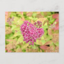 Pesquisar por seta vertical cartoes postais Floral