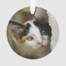 Pesquisar por olhos ornamentos For kids