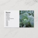 Pesquisar por comida natural cartao de visita Agricultura