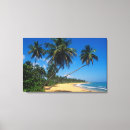Pesquisar por greg johnston impressão de canvas Praia