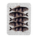 Pesquisar por riscado imas Animais