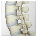 Pesquisar por 15x15 pôsteres Empresa de pequeno porte