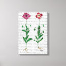 Pesquisar por italiano impressão de canvas Cravo