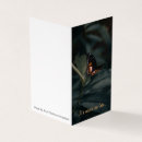 Pesquisar por benjamin cartoes Inspiração