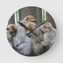 Pesquisar por arte do macaco relogios de parede Primatas