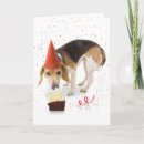 Pesquisar por beagle birthday cartoes Pet