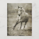 Pesquisar por vestibular cartoes postais Oeste