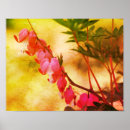 Pesquisar por coração cor de rosa pôsteres Floral