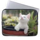 Pesquisar por pessoas laptop sleeves Gatinho