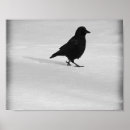 Pesquisar por tempo frio pôsteres Natureza
