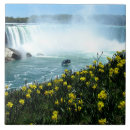 Pesquisar por niagara azulejos Canadá