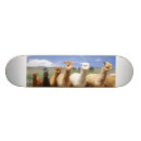 Pesquisar por alpaca skates For kids