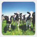 Pesquisar por agricultura adesivos Natureza