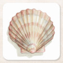 Pesquisar por seashells porta copos Oceano
