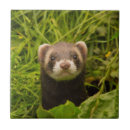 Pesquisar por grama azulejos Engraçado